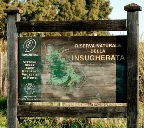 insugherata2.jpg