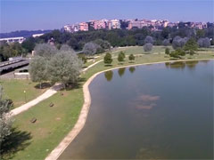 Lago di Tor di Quinto