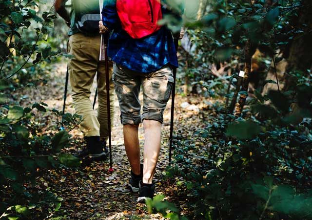 escursione-in-un-bosco