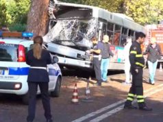 bus-contro-albero-cassia