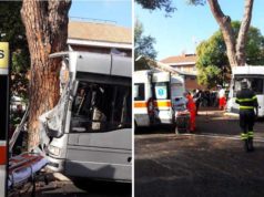 bus-contro-albero