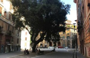 piazza-perin-del-vaga